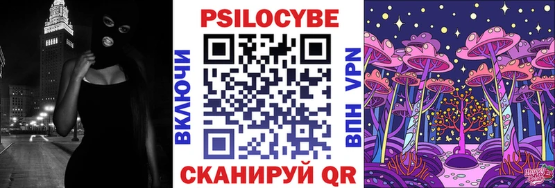 Купить где Новопавловск Псилоцибиновые грибы прущие грибы